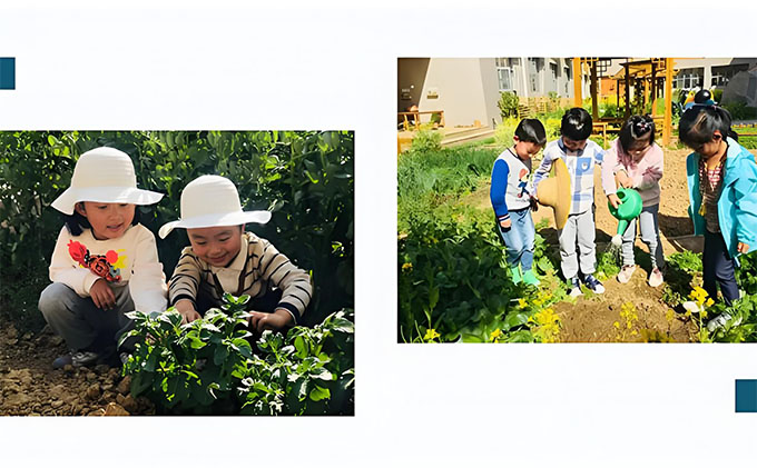 幼兒園種植區(qū)打造之虞永平，我與泥土二三事